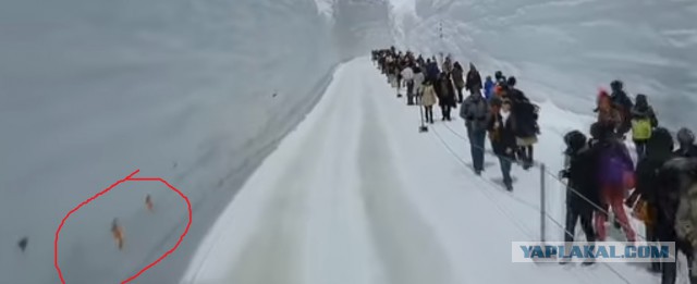 Как убирают снег на севере Японии