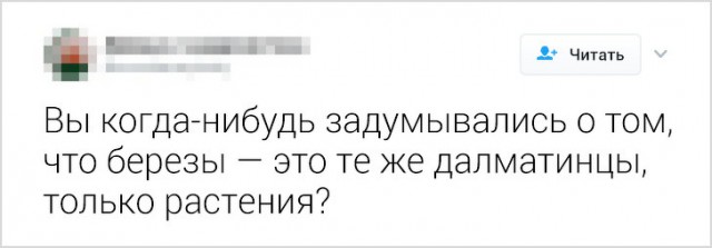 Открытия, которые могли сделать только пользователи интернета