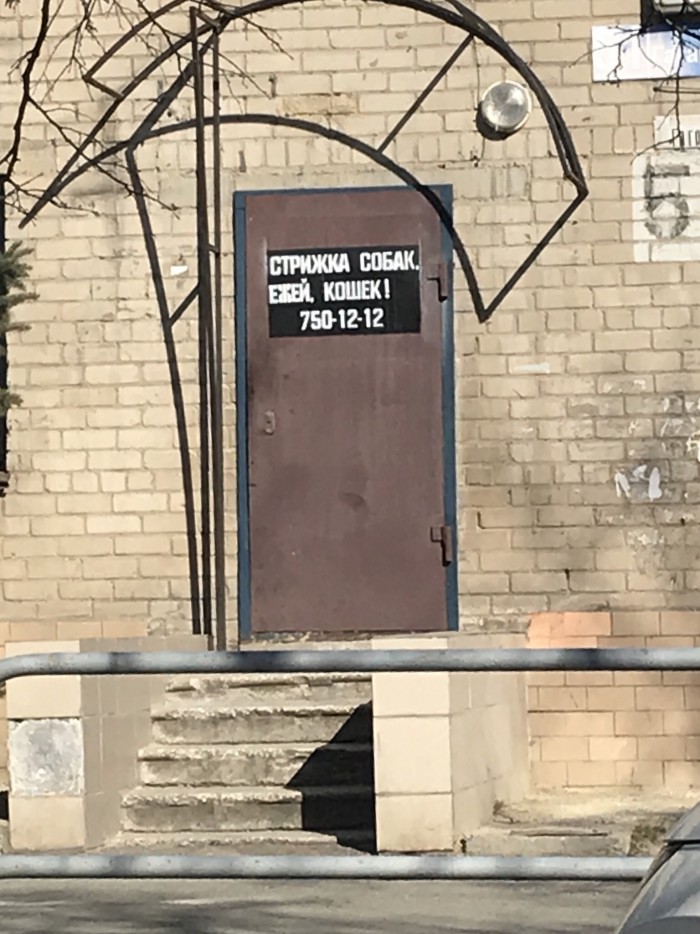 Прикольные картинки с надписями