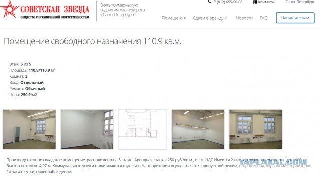 Помогите вернуть кота! Приют "Преданное сердце" украл кота и не отдает!-2