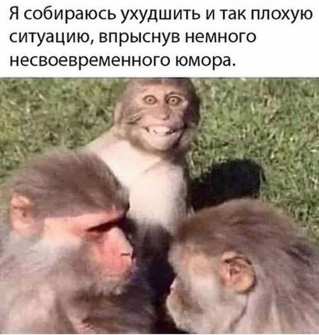 Немного картинок для настроения 05.02.20
