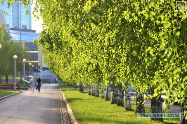 Сквер в Екатеринбурге, где хотели построить храм