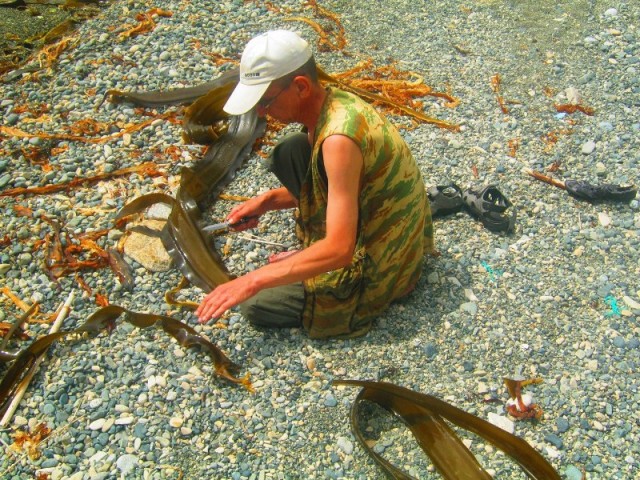 #ДРЯПнем! Или Кулинары поздравляют ЯП с ДР! Солянка из морской капусты с кальмаром