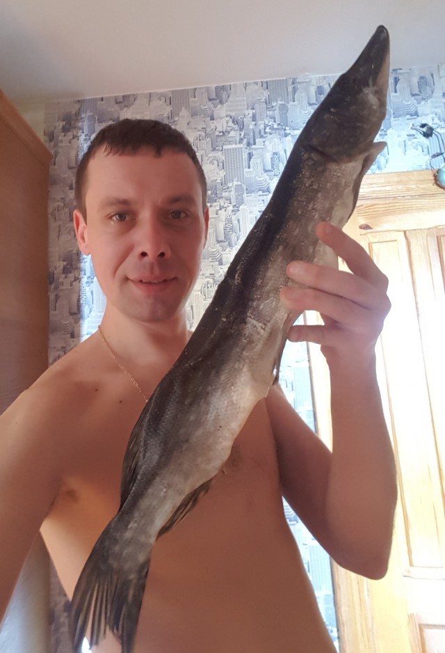 Щука
