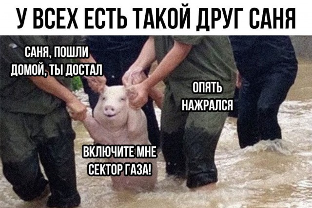 Алкопост на 03.10.20