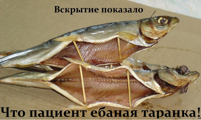 Шиза понедельничья