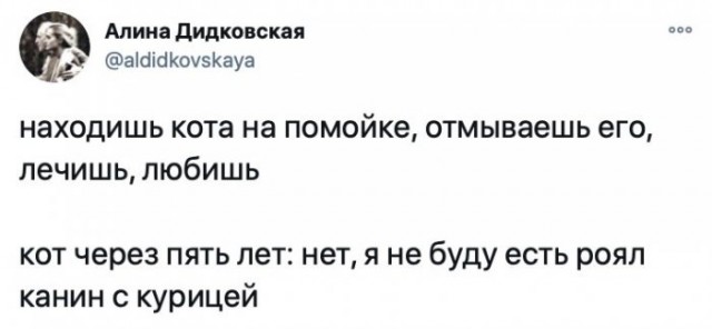 Картинки и мемы для настроения 025