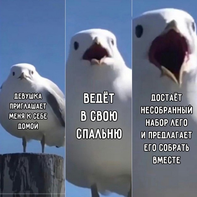 Весёлый полтишок 18.05