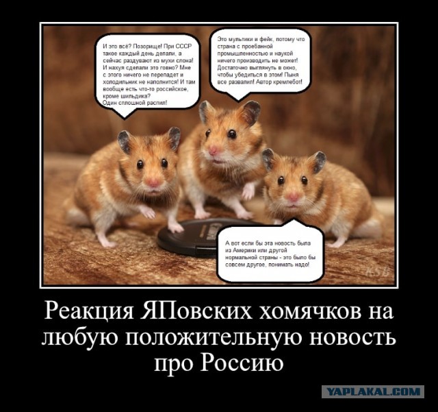 "Новосибирск", атомная подводная лодка готовится к ходовым испытаниям
