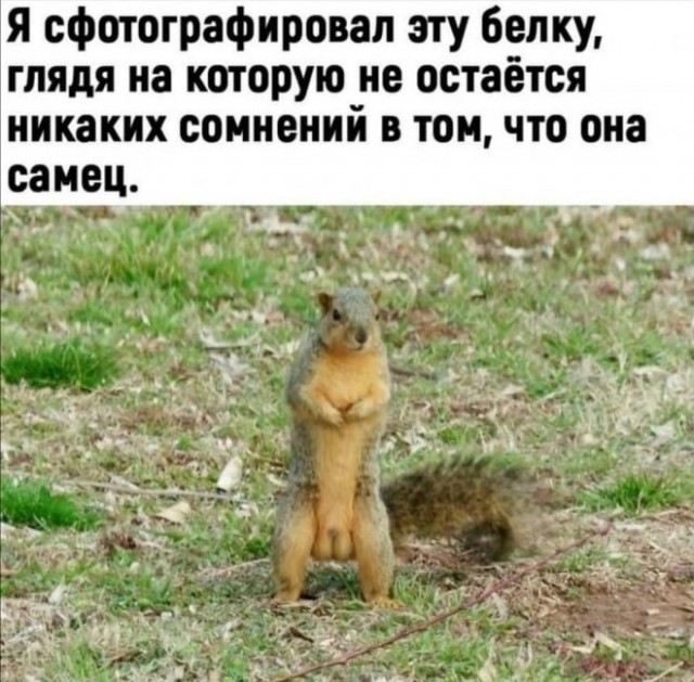 Картинки и мемы на все случаи жизни