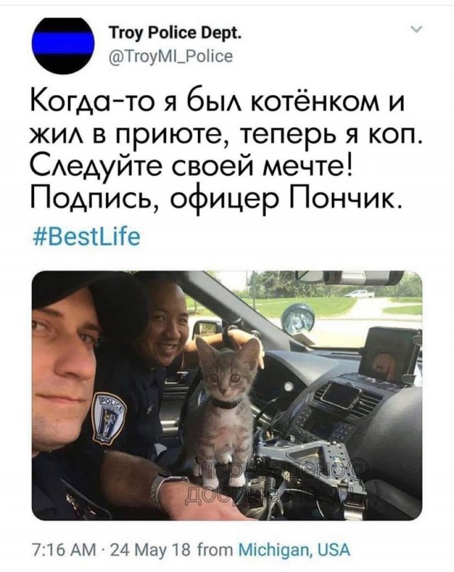 Картинки и мемы, всем прекрасных выходных