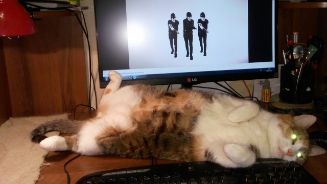 Вторник. Котэ. Пора