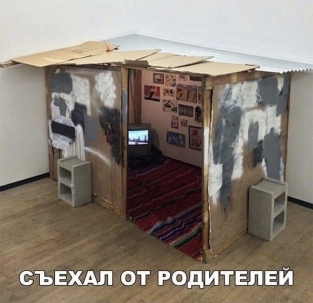 Чуток картинок 18.12.21