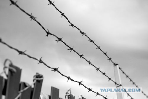 Стал отцом, готовься к тюрьме!