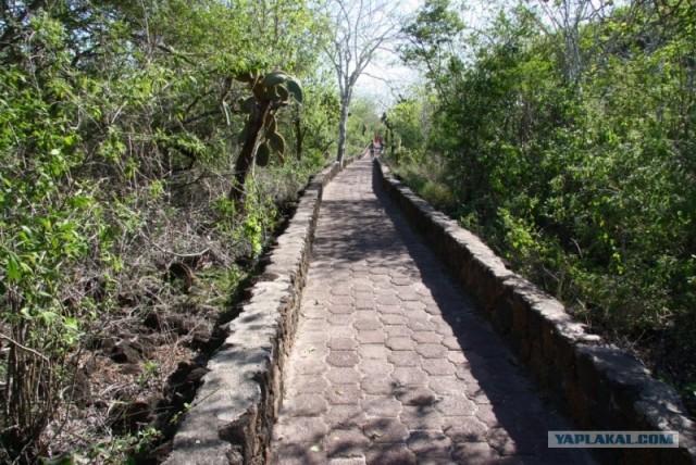 Галапагосы