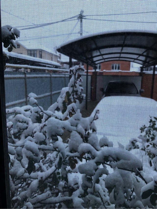 "Марток", не снимай порток