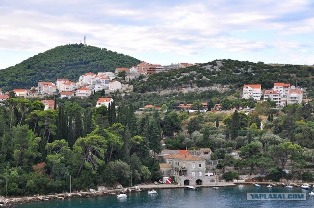 Любовь с первого взгляда