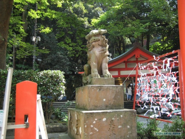 Далёкая Япония