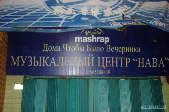 Автостоп + каучсерфинг в действии