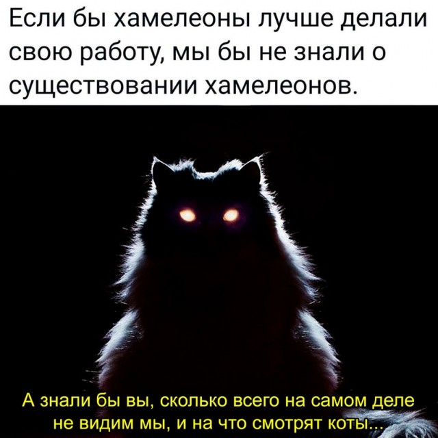 Картинки и мемы для настроения - 133