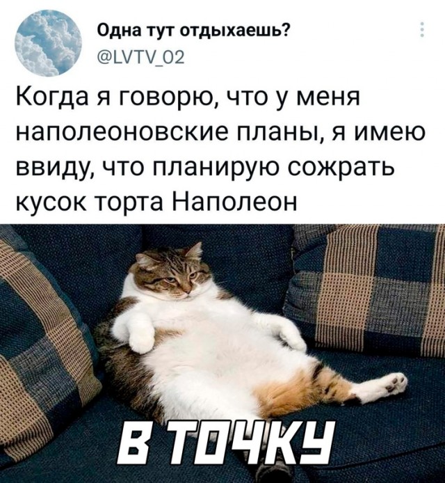 Картинки и мемы для настроения - 125
