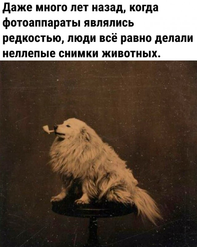 Так себе картинки 25.01.2023