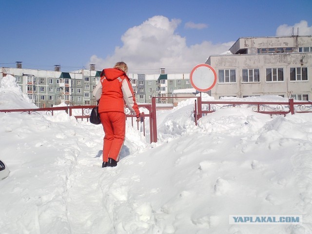 Весна на Камчатке