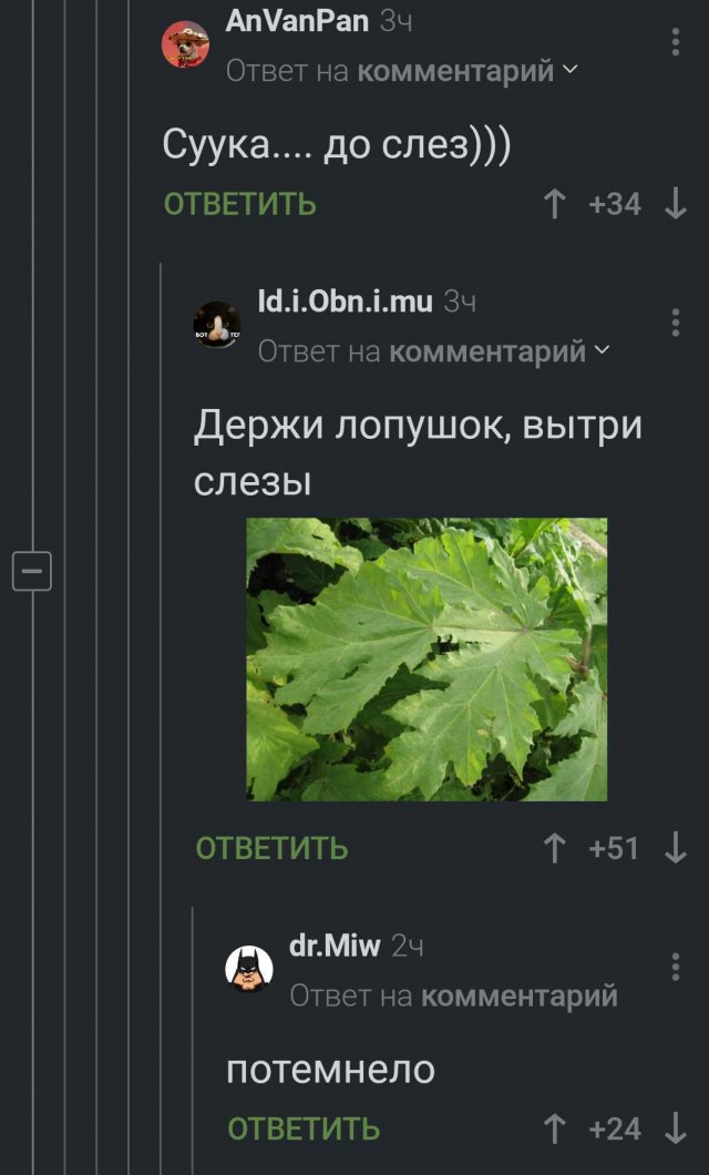 Чёрно-пошлая деградация