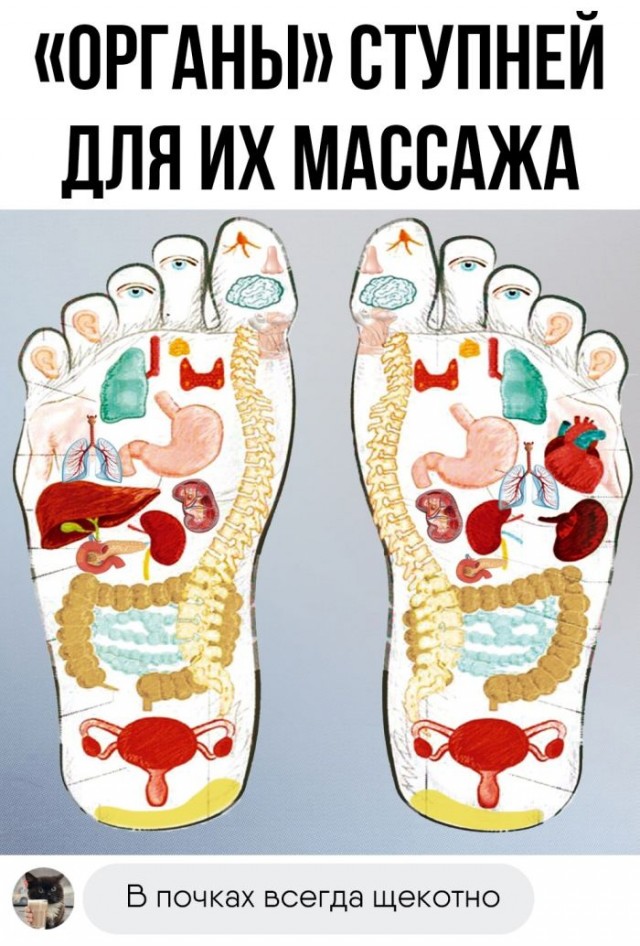 Картинки и мемы, всяко разно - 171