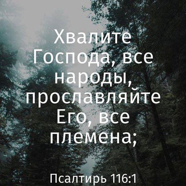 Прикольные и просто красивые картинки 14.07.2023