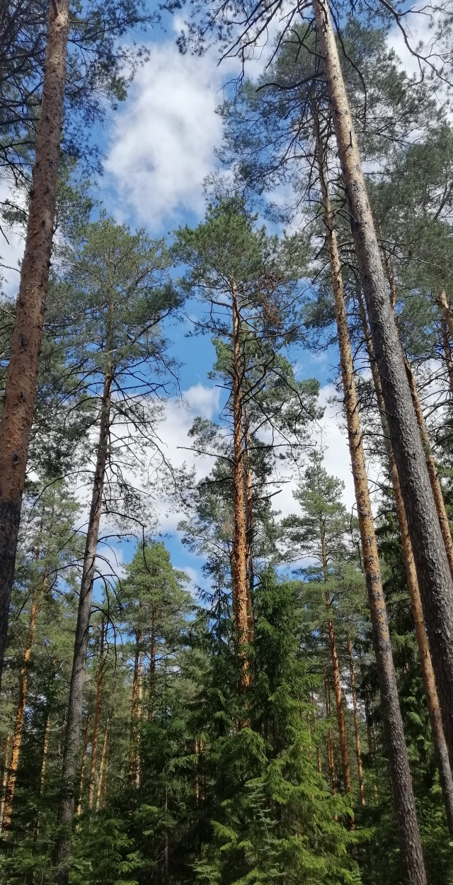 Развелась из-за запаха