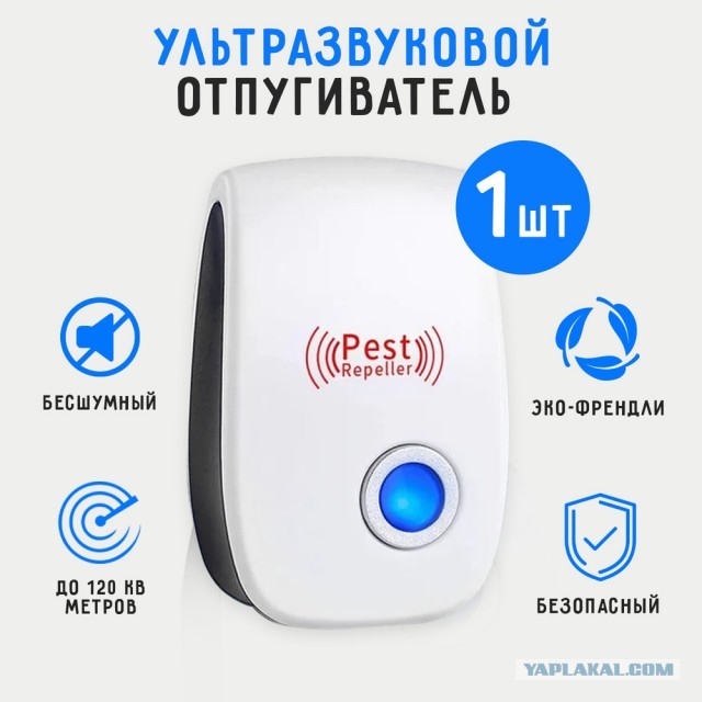 Зоозащитницу во Владивостоке облили цементом при спасении кошек из подвала