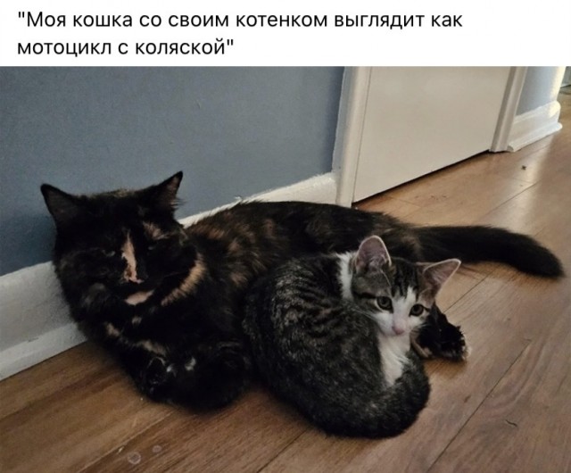 Так себе картинки 11.09.23