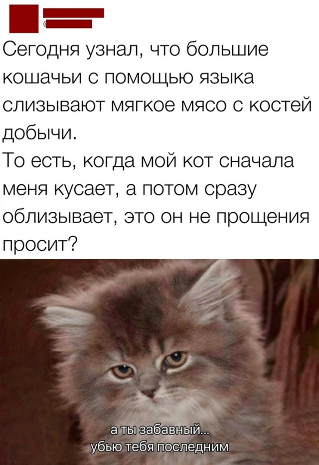 Так себе картинки 20.11.23