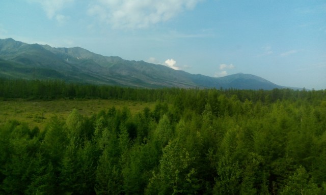"Планета тайга"