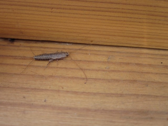 Почистил телефон