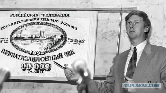 Сбор подписей за Надеждина