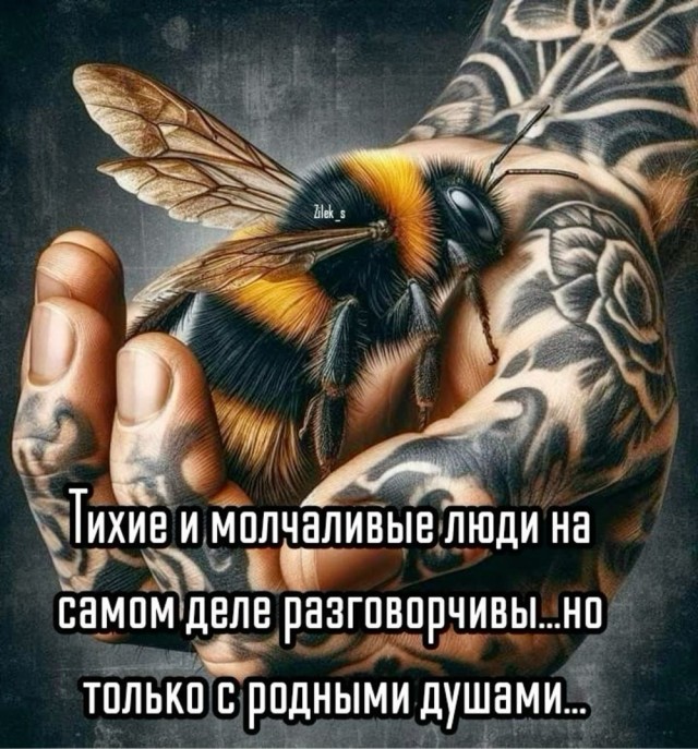 Прикольные и просто красивые картинки 13.09.2024