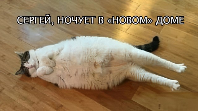 От сумы и тюрьмы не зарекайся...