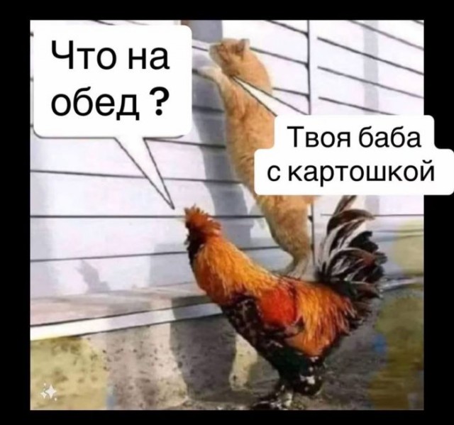 Веселые картинки к понедельнику (21.10)