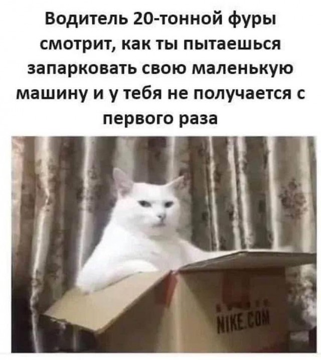 Всего понемногу. От 14.11.2024