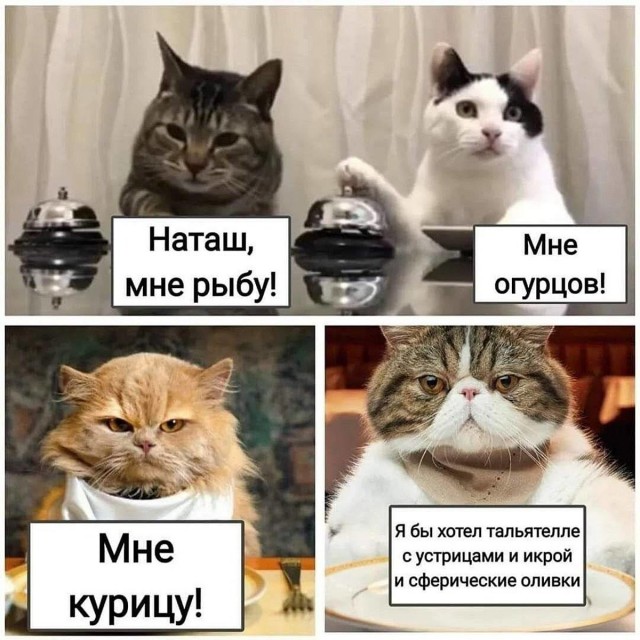 Завалялось тут случайно немного забавных картинок