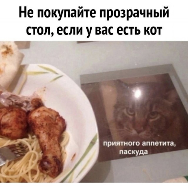 Так себе картинки 28.02.25
