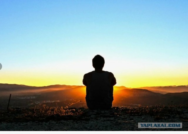 О смысле всего вообще.