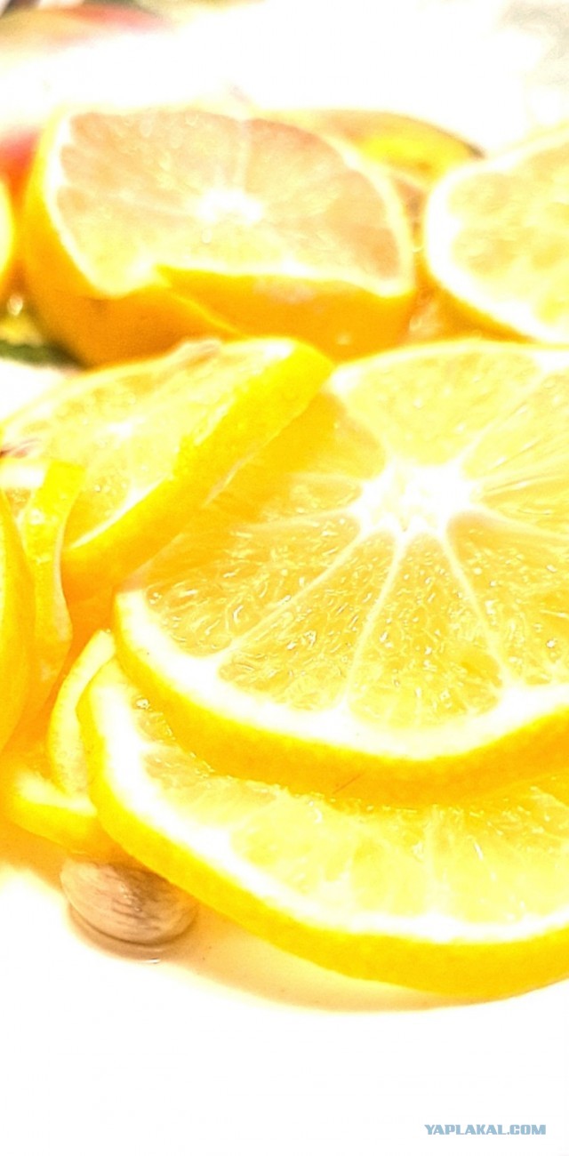 ⚡ ЯП, с Днем Рождения! 21 год ЯПу!