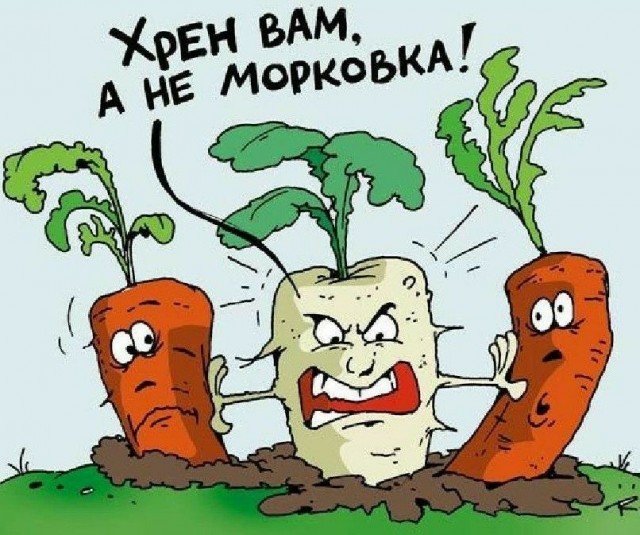 Прикольные и просто красивые картинки 13.06.2025