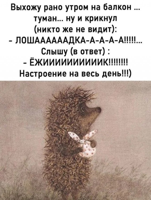 Юмор для тех, кто уже повзрослел и понял, что «готовка» — это разогреть вчерашний суп