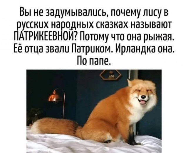Так себе картинки 26.06.25