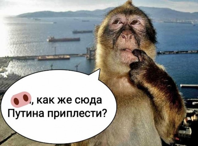Румыния. Подозревает РФ. Из-за загрязнения азербайджанской нефти