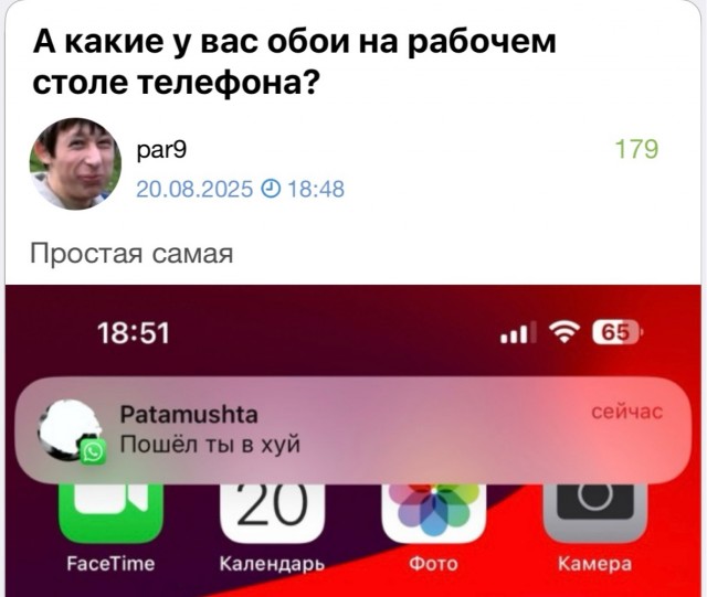 Всё в кучу: и Сова и носок